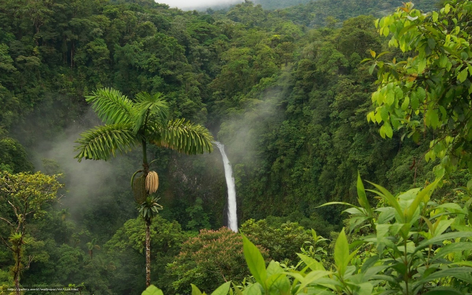 Waterfall in tropical forest