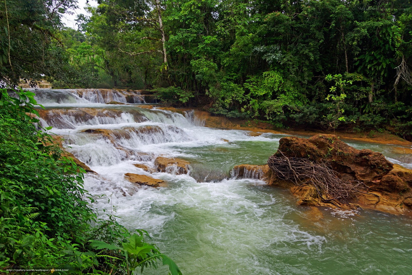 Waterfall in tropical forest