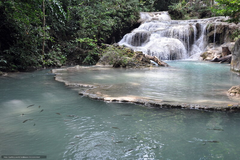 Waterfall in tropical forest