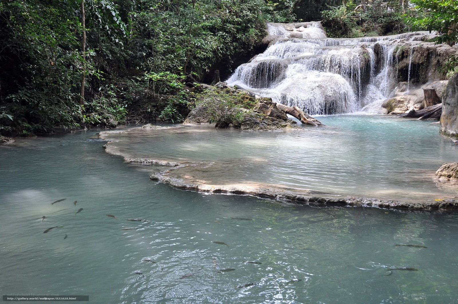 Waterfall in tropical forest