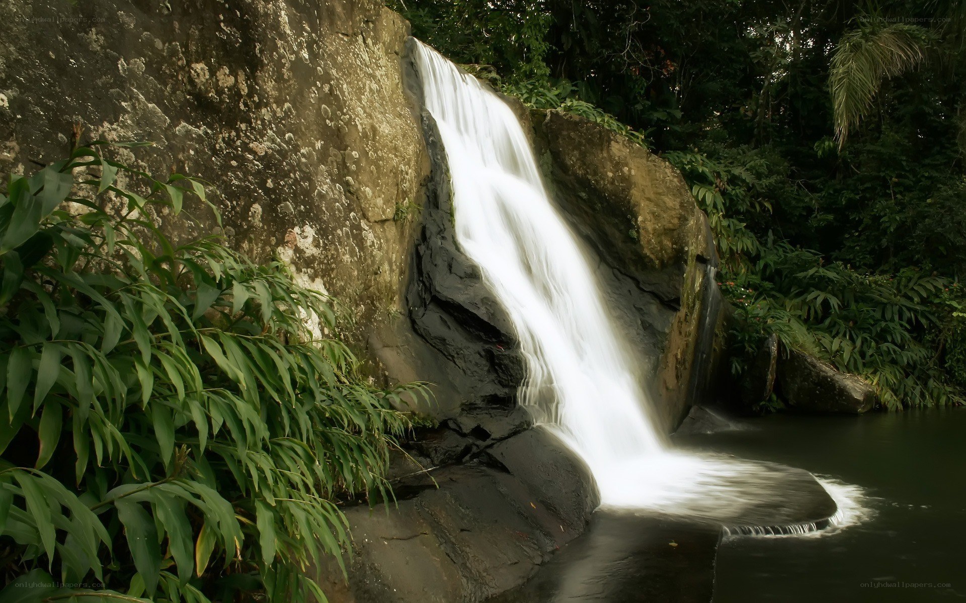 Waterfall in tropical forest