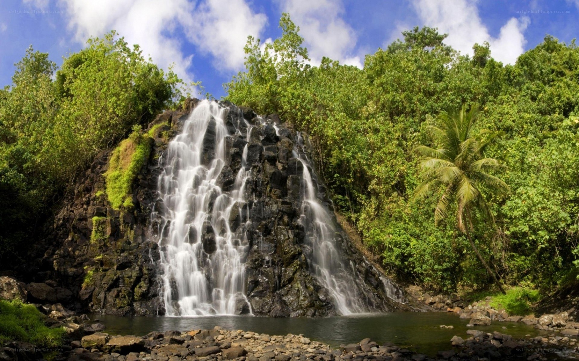 Waterfall in tropical forest