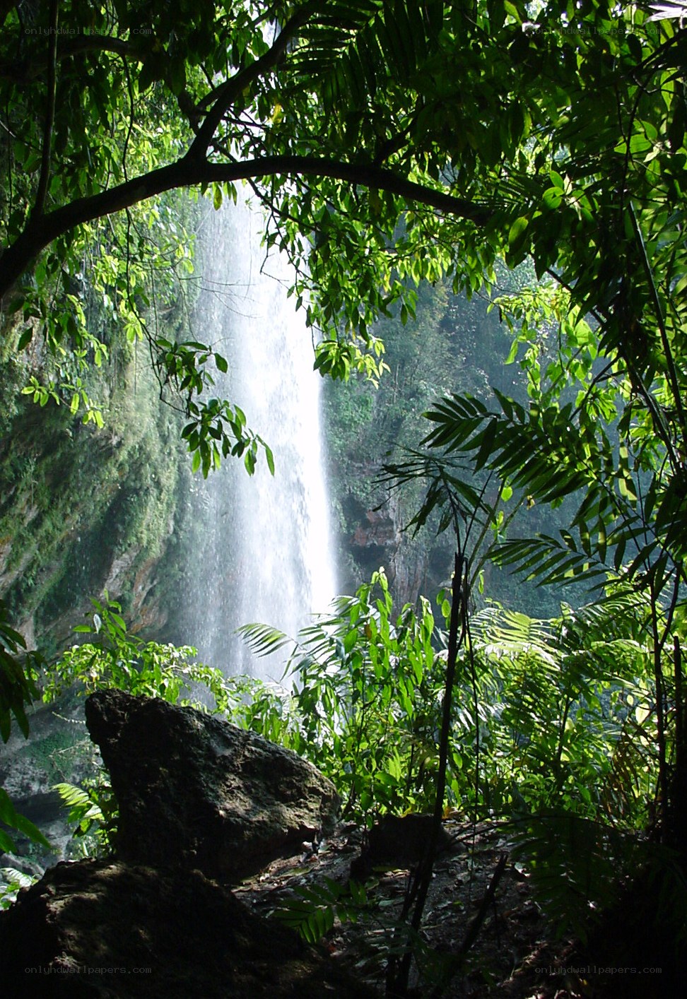 Waterfall in tropical forest