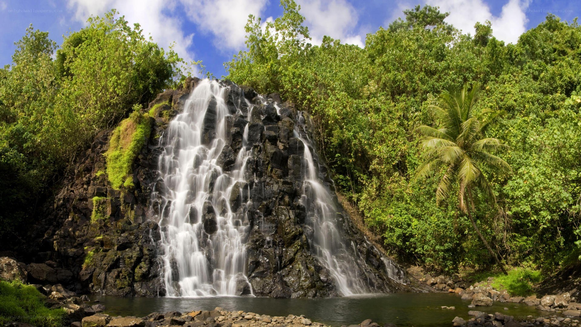 Waterfall in tropical forest