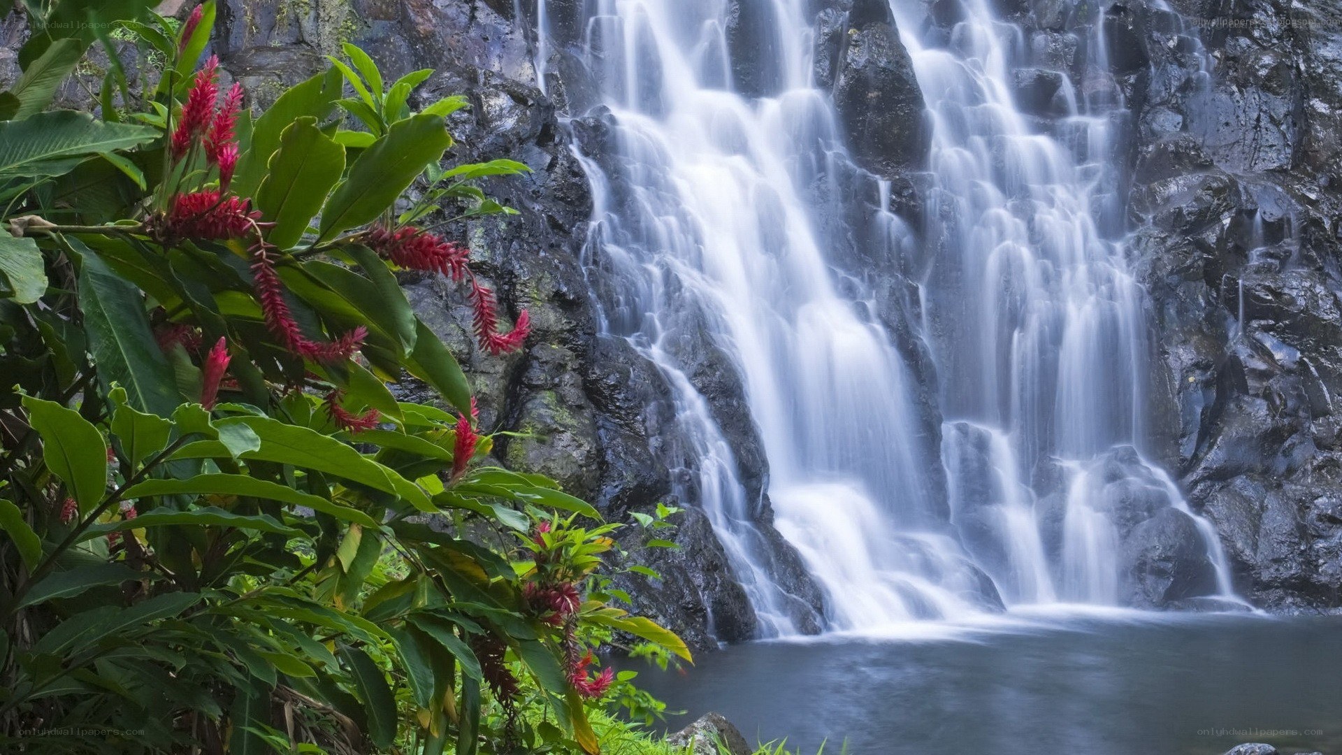 Waterfall in tropical forest