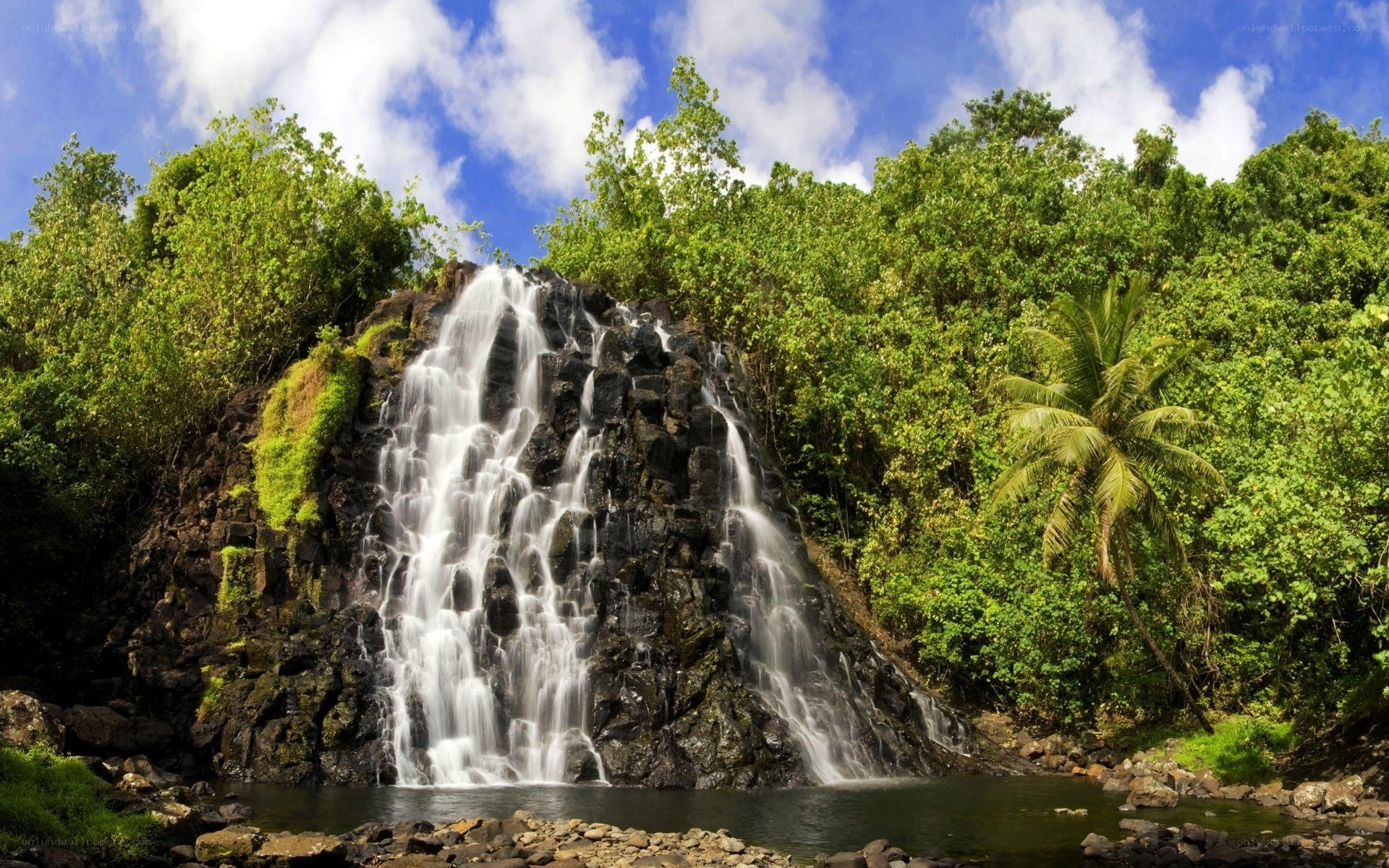 Waterfall in tropical forest