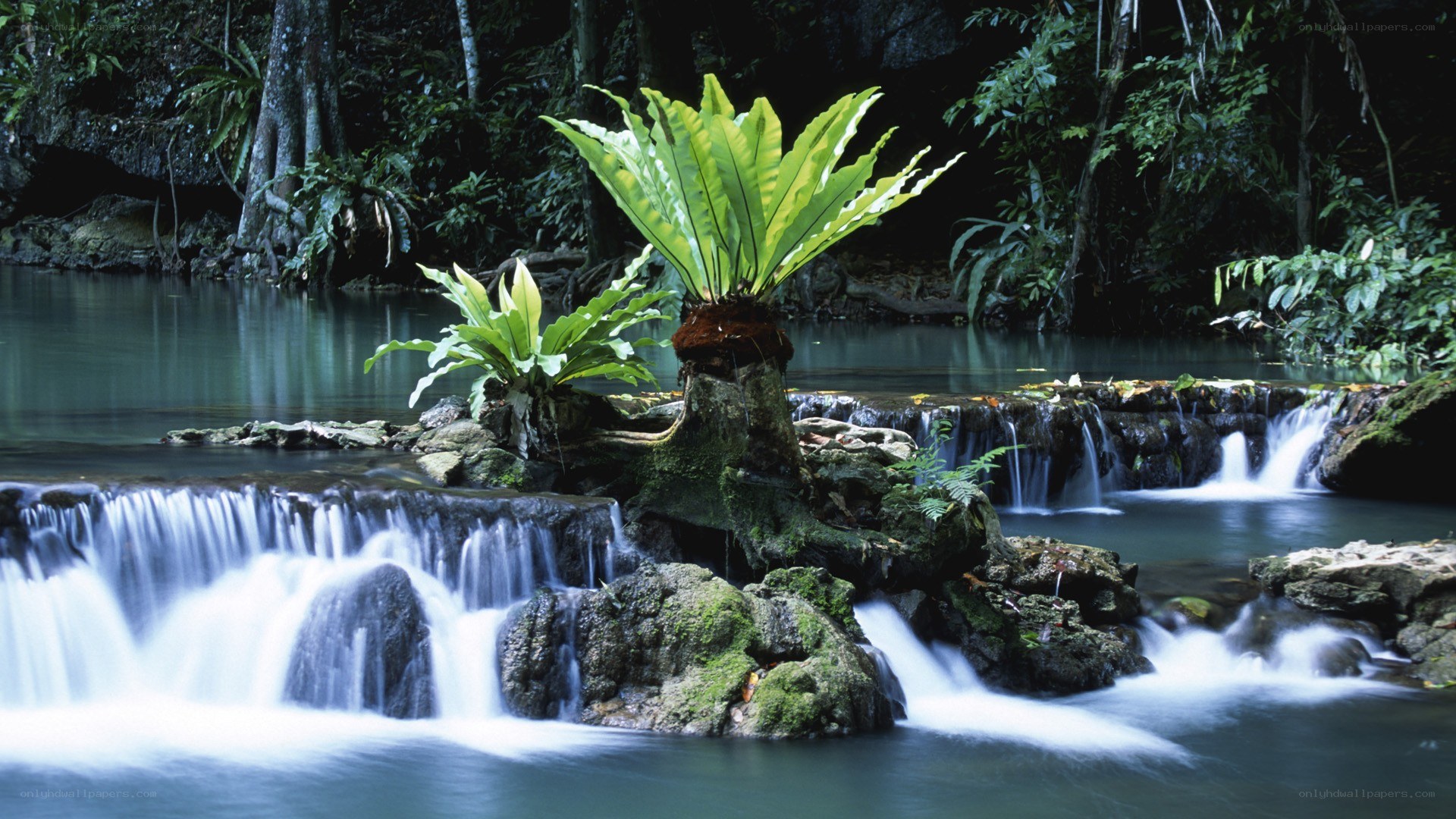Waterfall in tropical forest