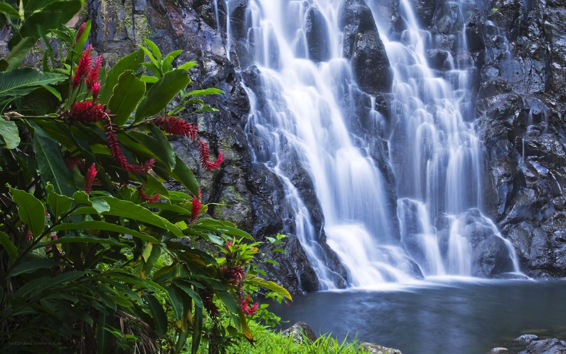 Waterfall in tropical forest