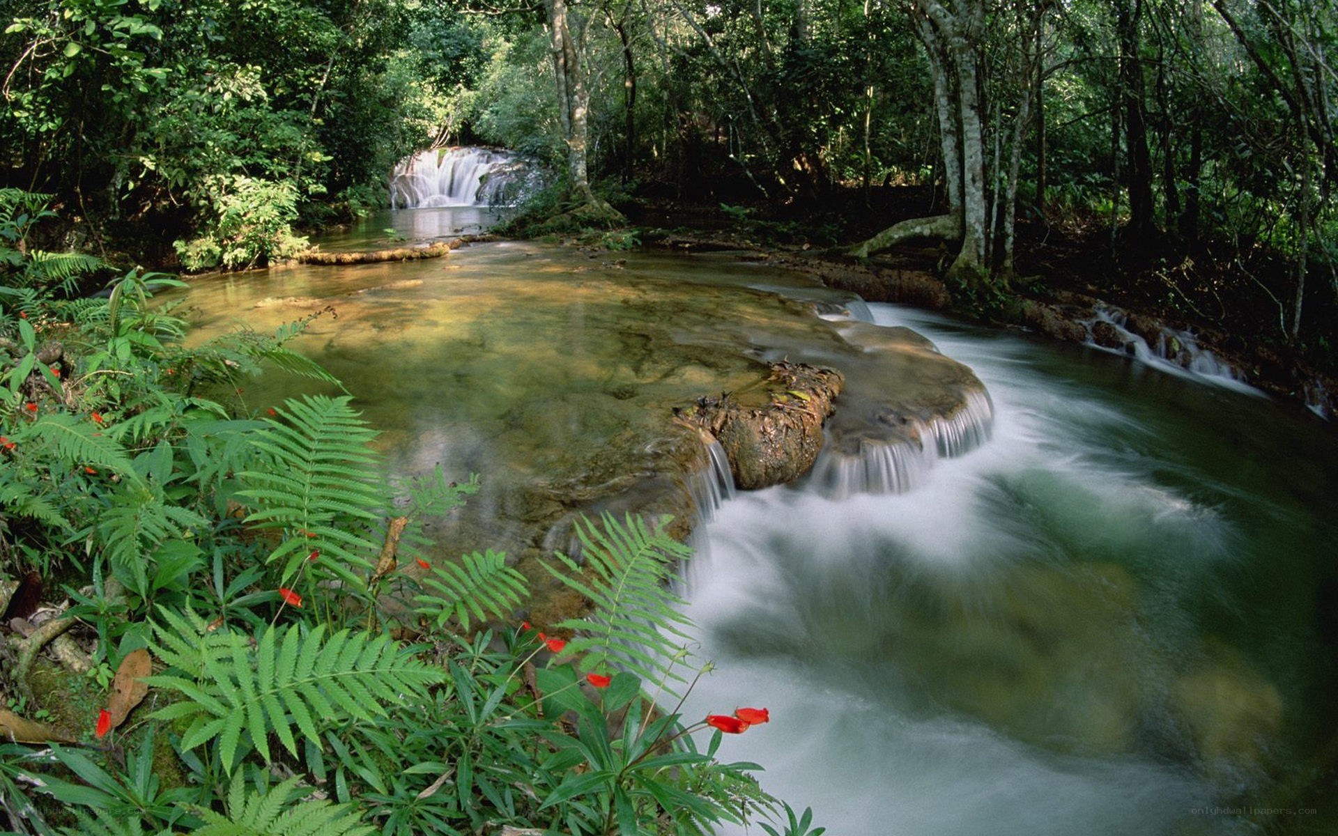 Waterfall in tropical forest