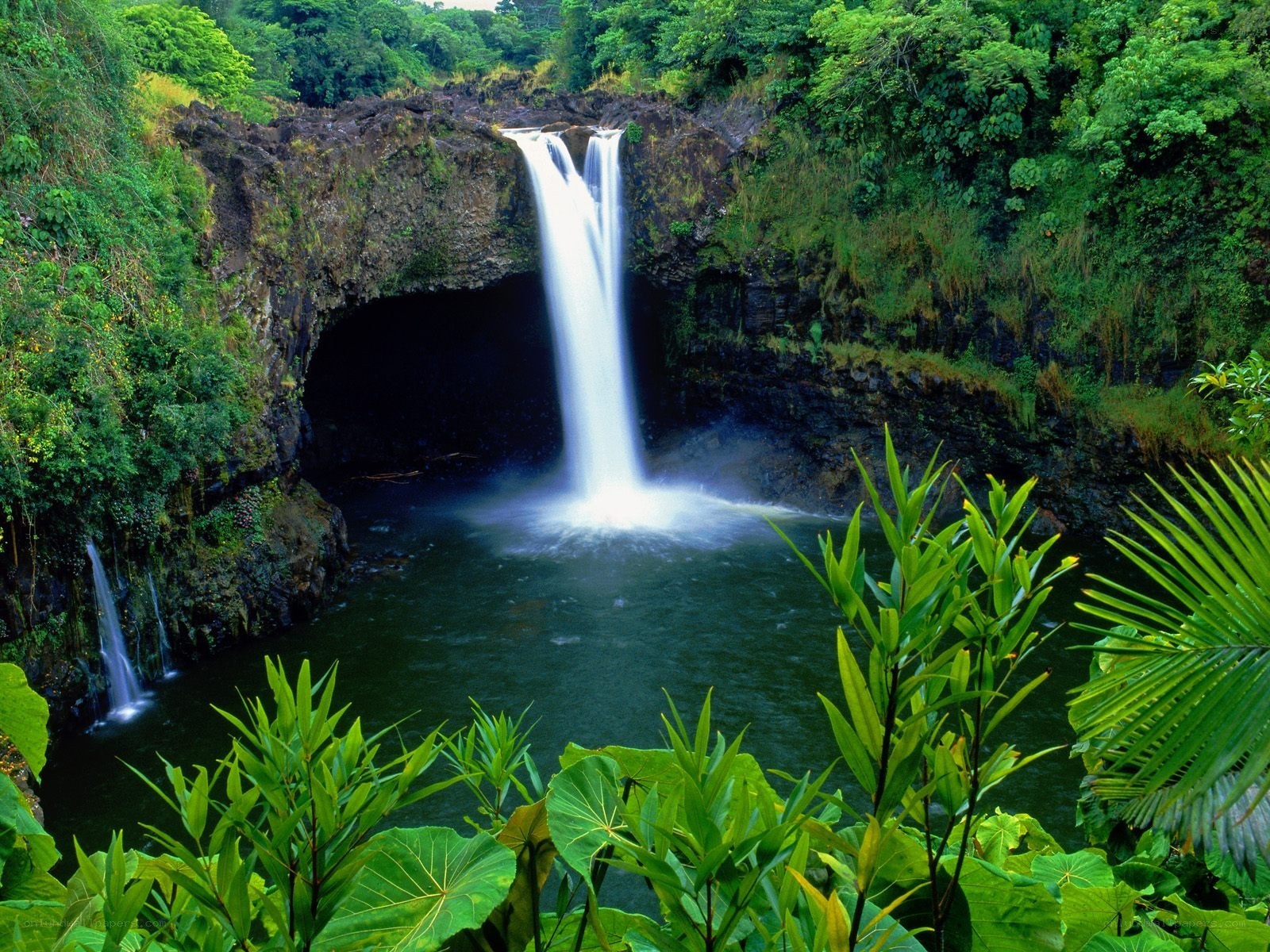 Waterfall in tropical forest