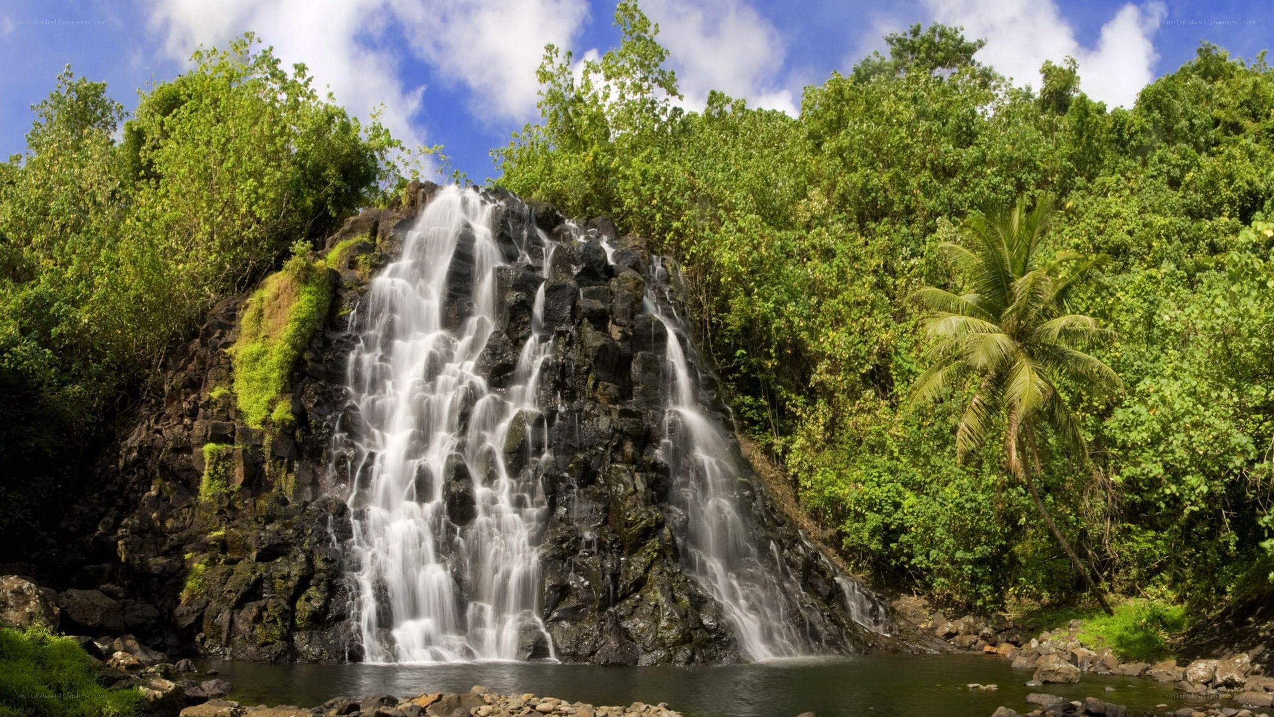 Waterfall in tropical forest