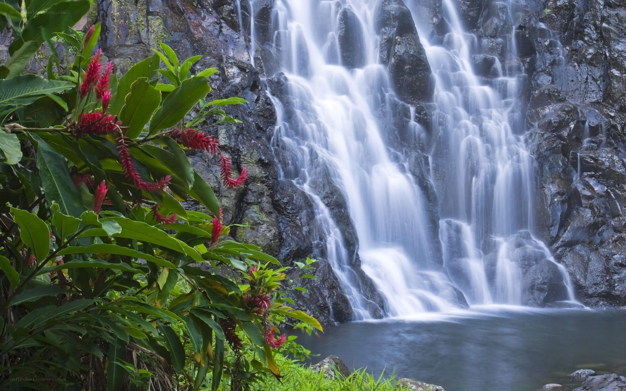 Waterfall in tropical forest