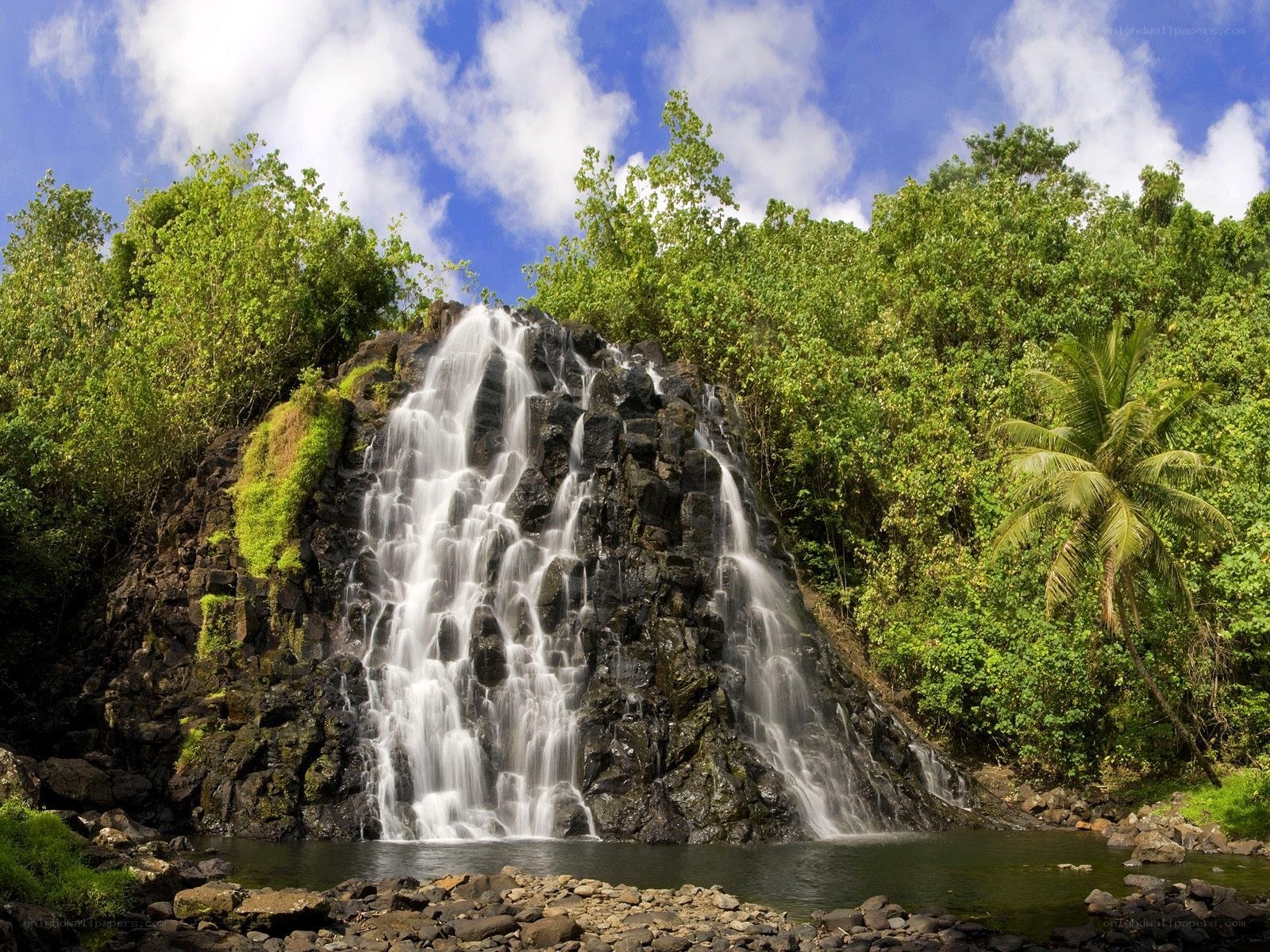 Waterfall in tropical forest