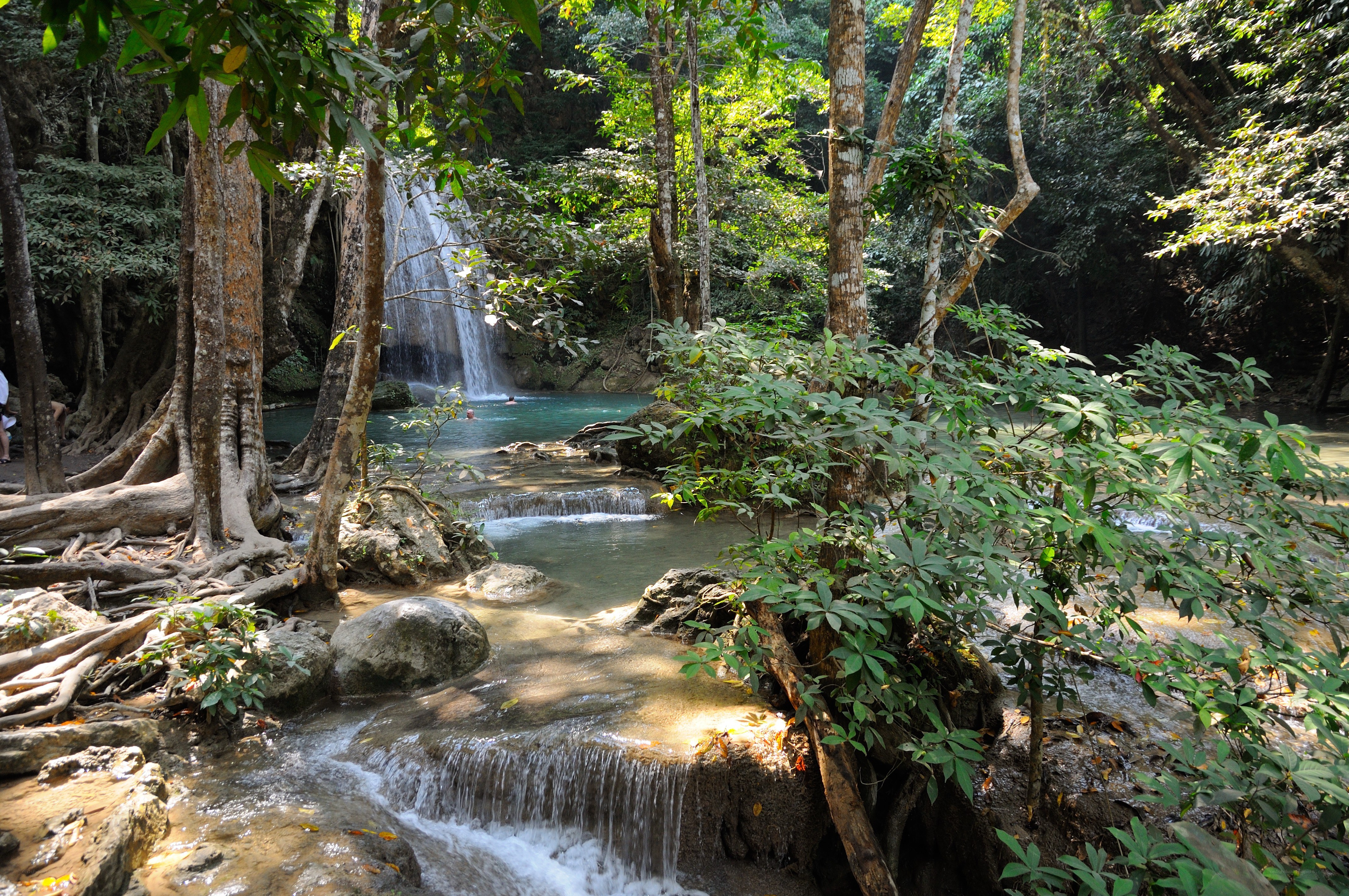 Waterfall in tropical forest