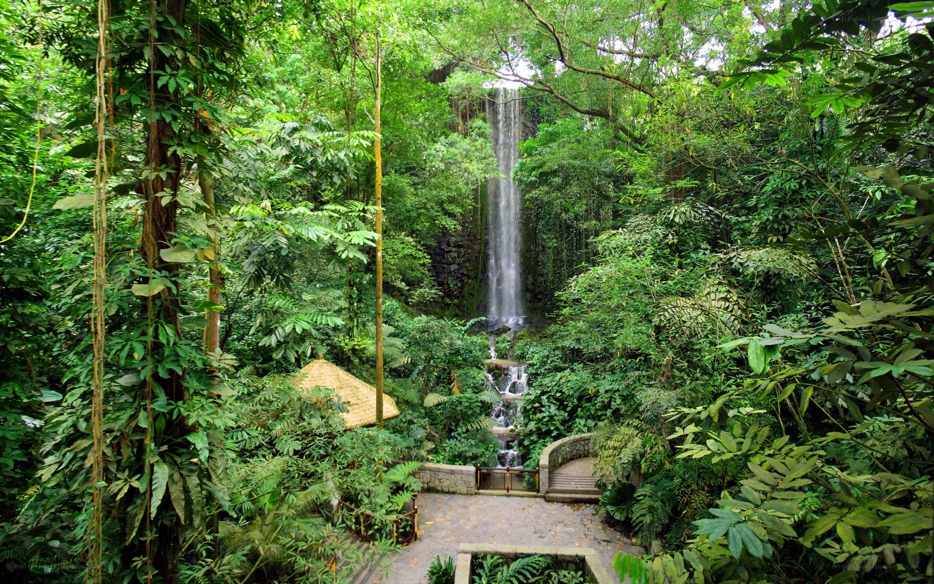 Waterfall in tropical forest