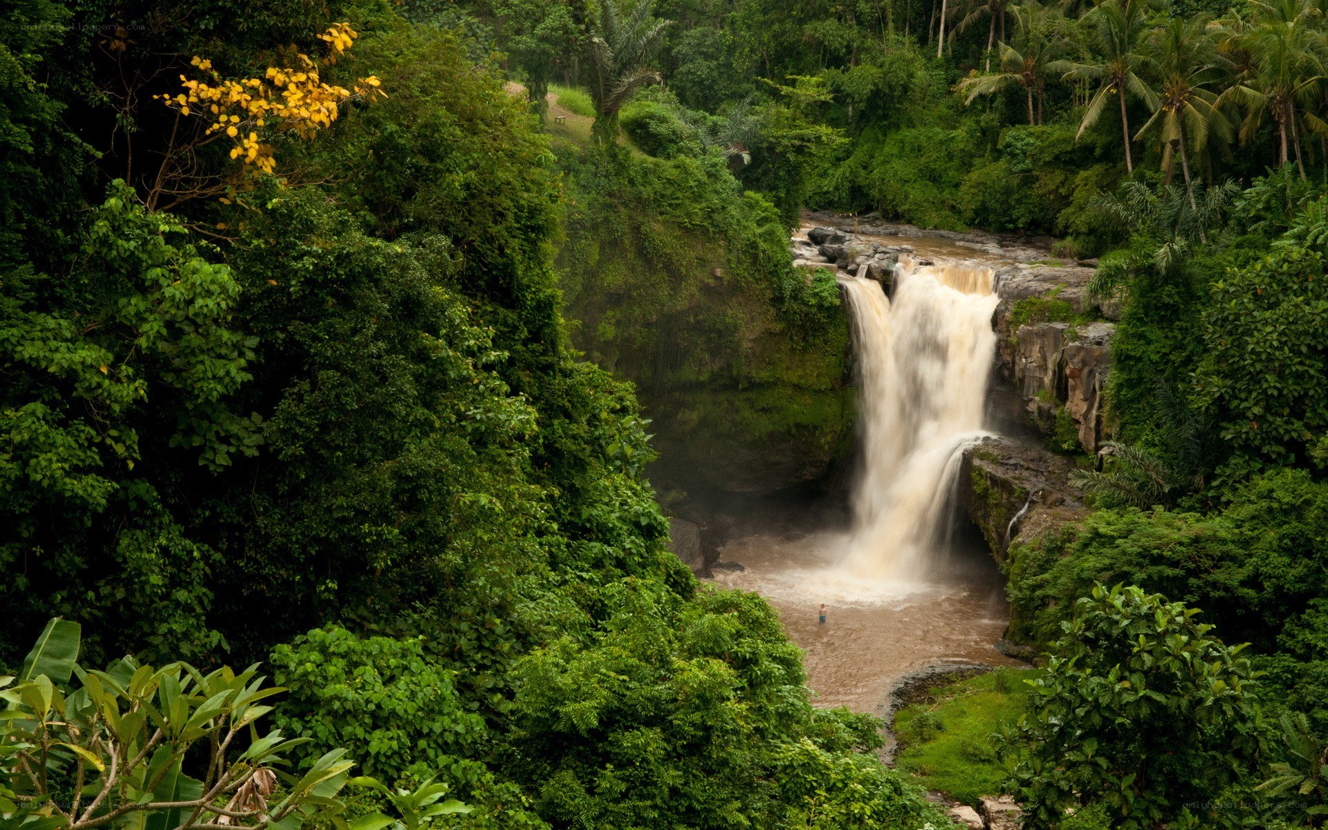 Waterfall in tropical forest