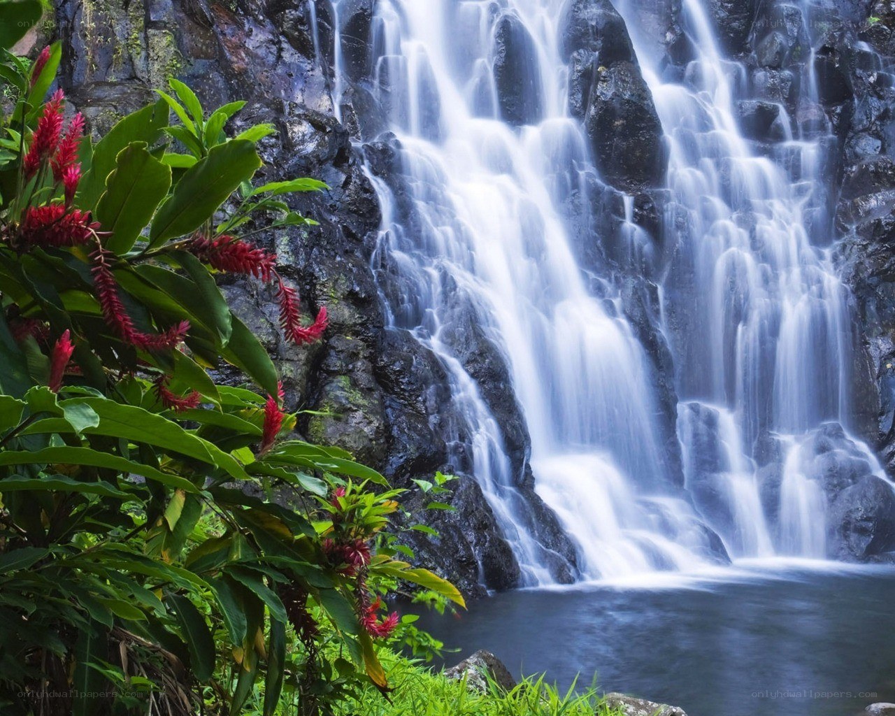 Waterfall in tropical forest