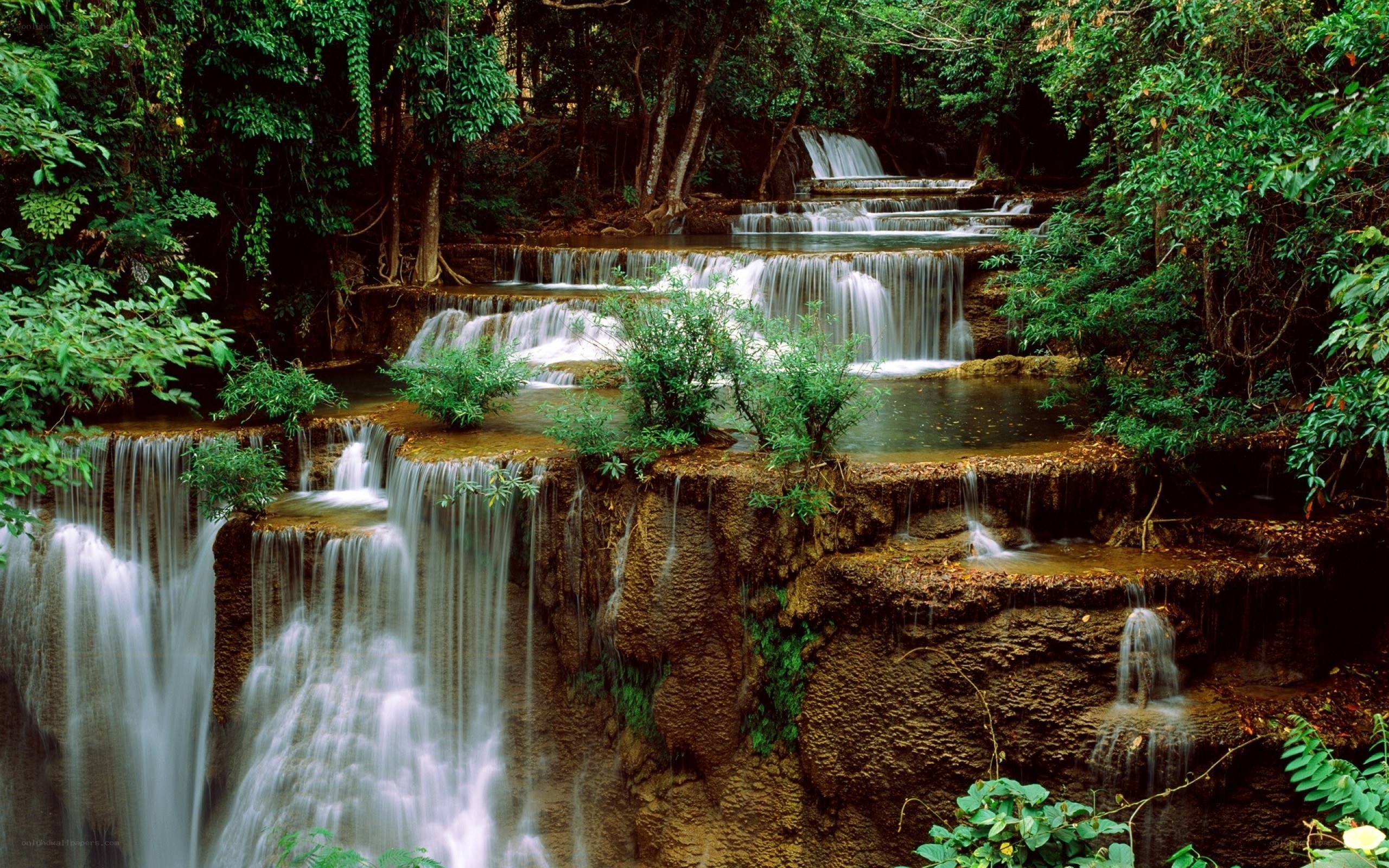 Waterfall in tropical forest