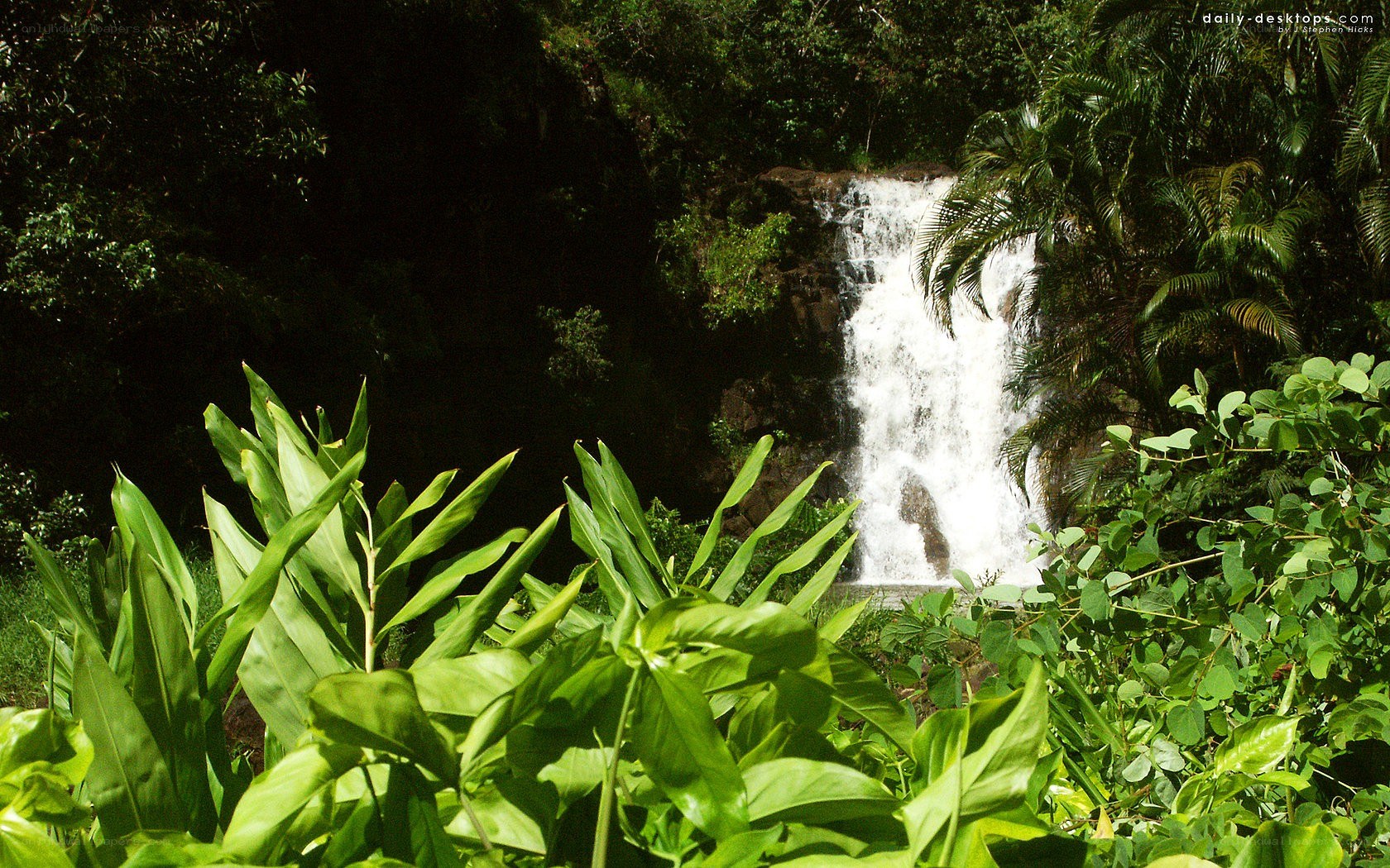 Waterfall in tropical forest
