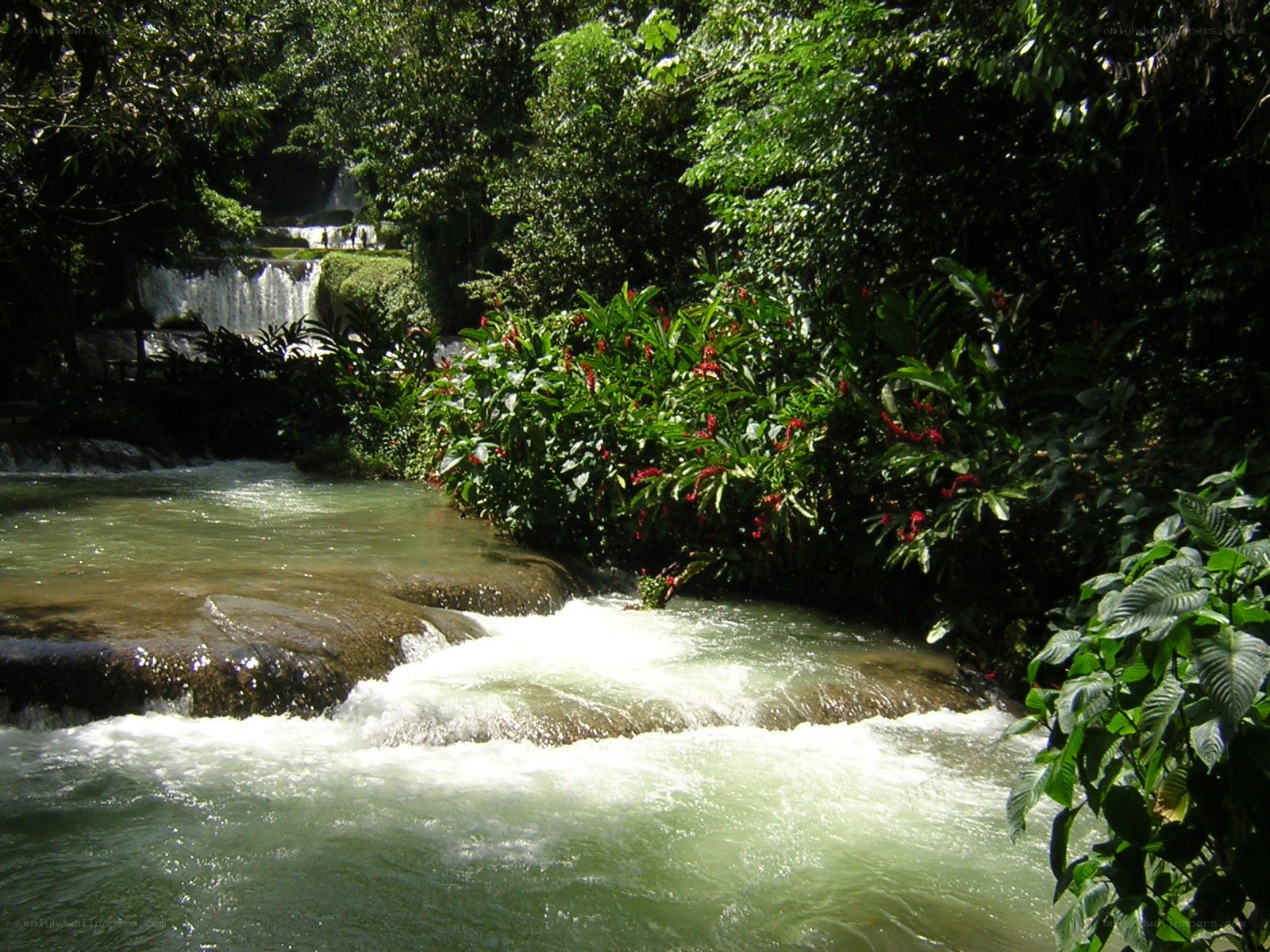 Waterfall in tropical forest