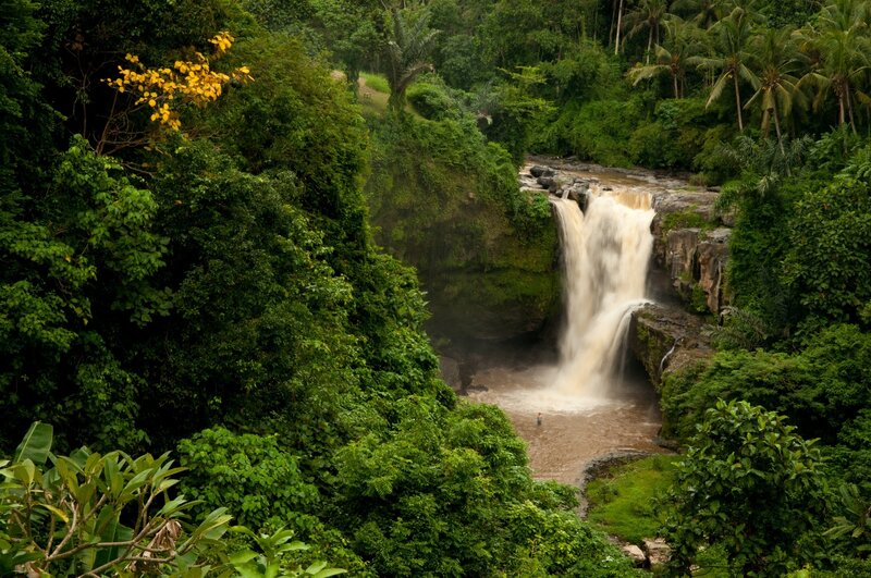 Waterfall in tropical forest