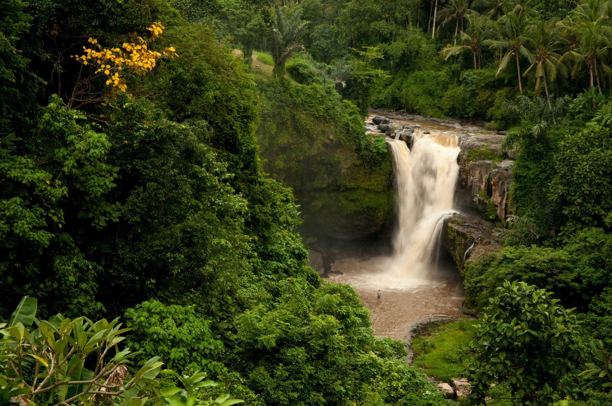 Waterfall in tropical forest