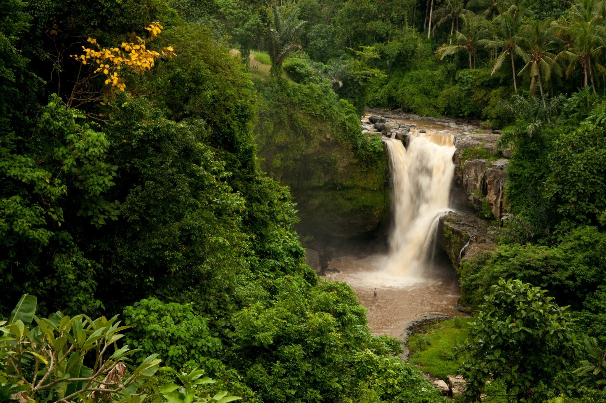 Waterfall in tropical forest