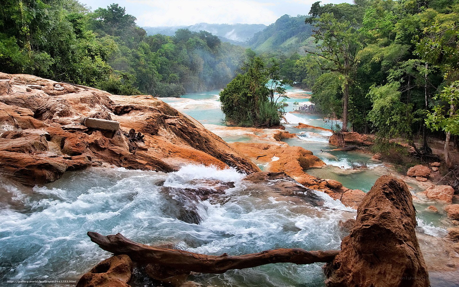 Waterfall in tropical forest