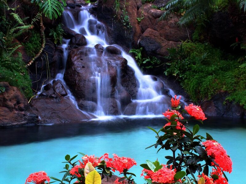Waterfall in Tropical Forest — Blue, Serene, Photograph