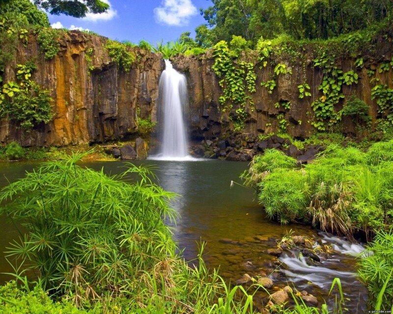 Waterfall in Tropical Forest — Green, Serene, Afternoon, Photograph, Pool, Rocks