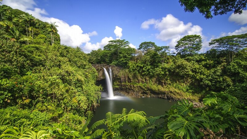 Waterfall in Tropical Forest — Green, Serene, Afternoon, Photograph, River, Sky