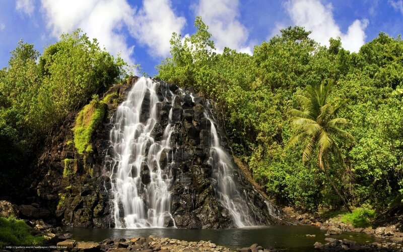 Waterfall in Tropical Forest — Green, Serene, Afternoon, Photograph, Trees, Rocks, Palm Tree