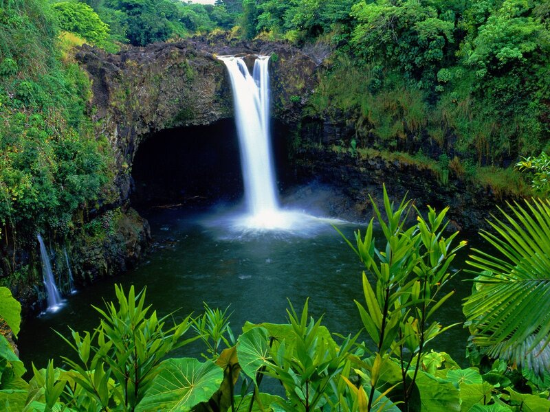 Waterfall in Tropical Forest — Green, Serene, Afternoon
