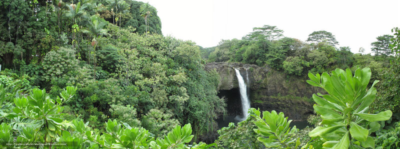 Waterfall in Tropical Forest — Green, Serene, Morning