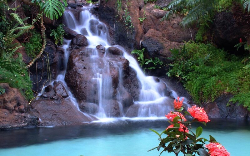 Waterfall in Tropical Forest — Green