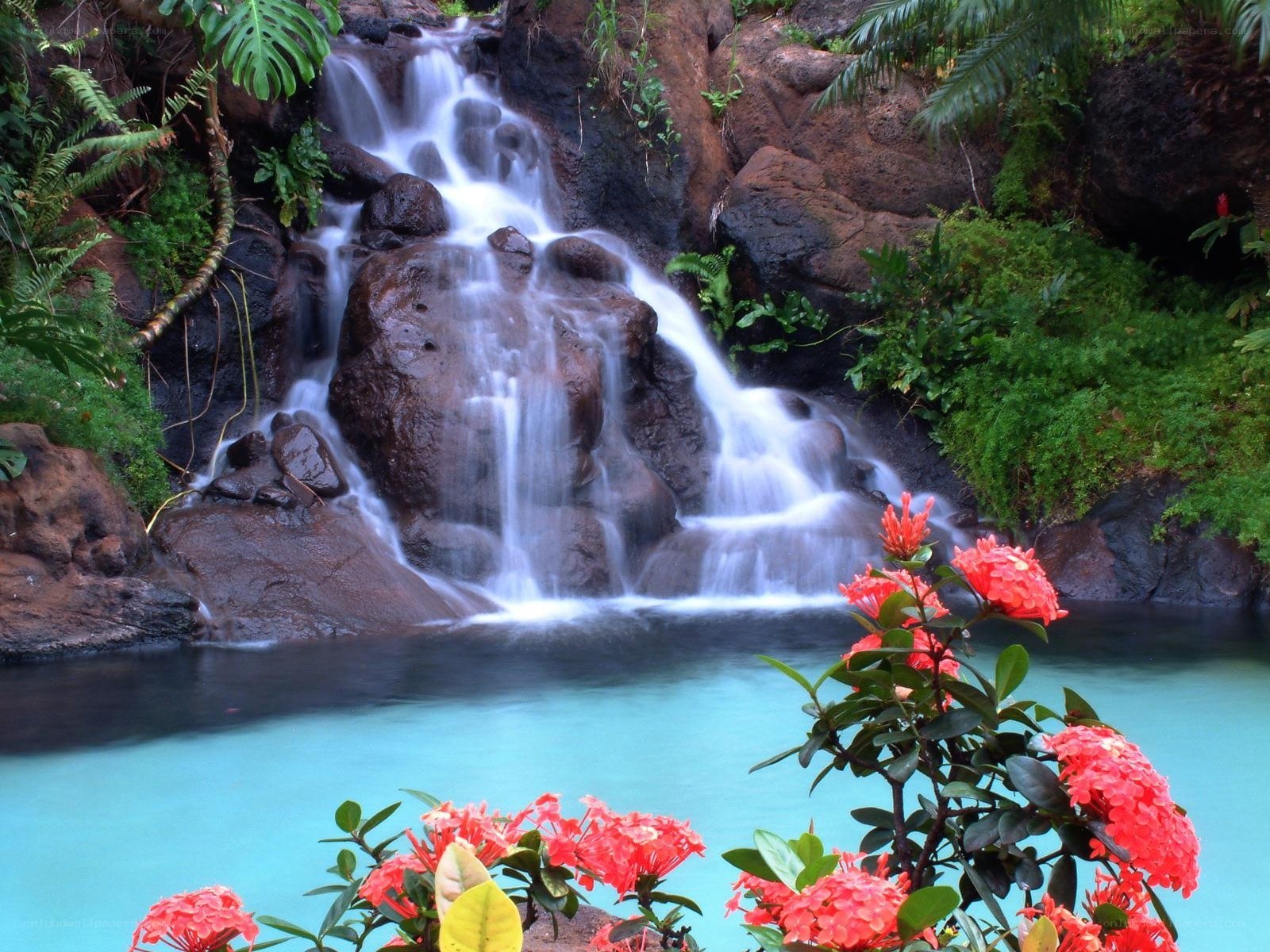 Waterfall in tropical garden