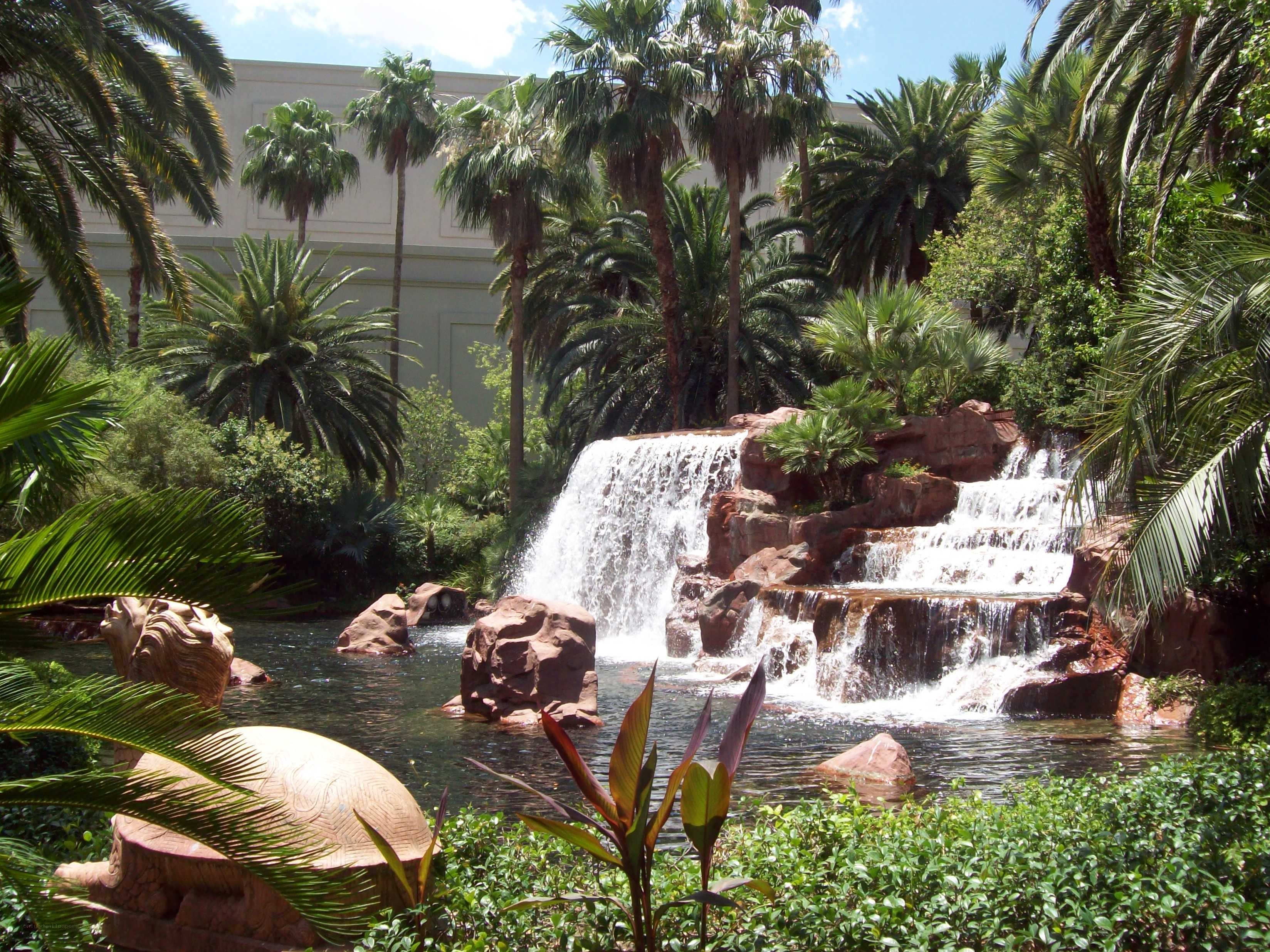 Waterfall in tropical garden