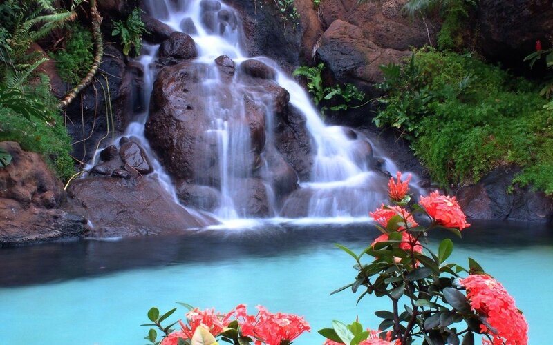 Waterfall in Tropical Garden — Blue, Serene