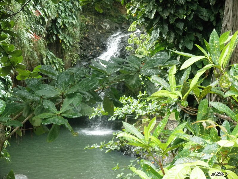 Waterfall in Tropical Garden — Green
