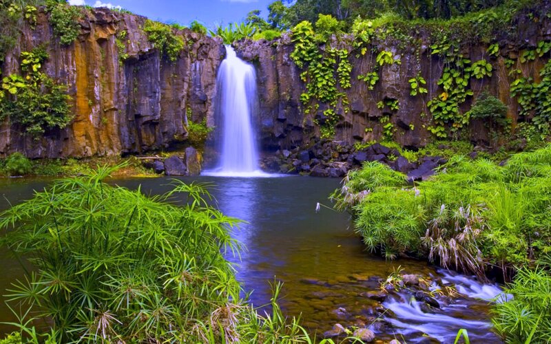 Waterfall in Tropical Jungle — Green