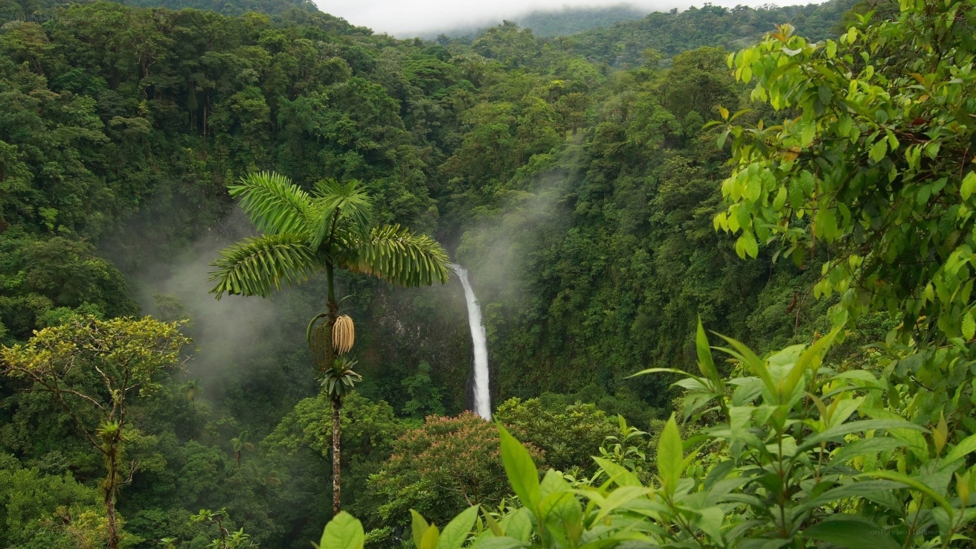 Waterfall in tropical rainforest
