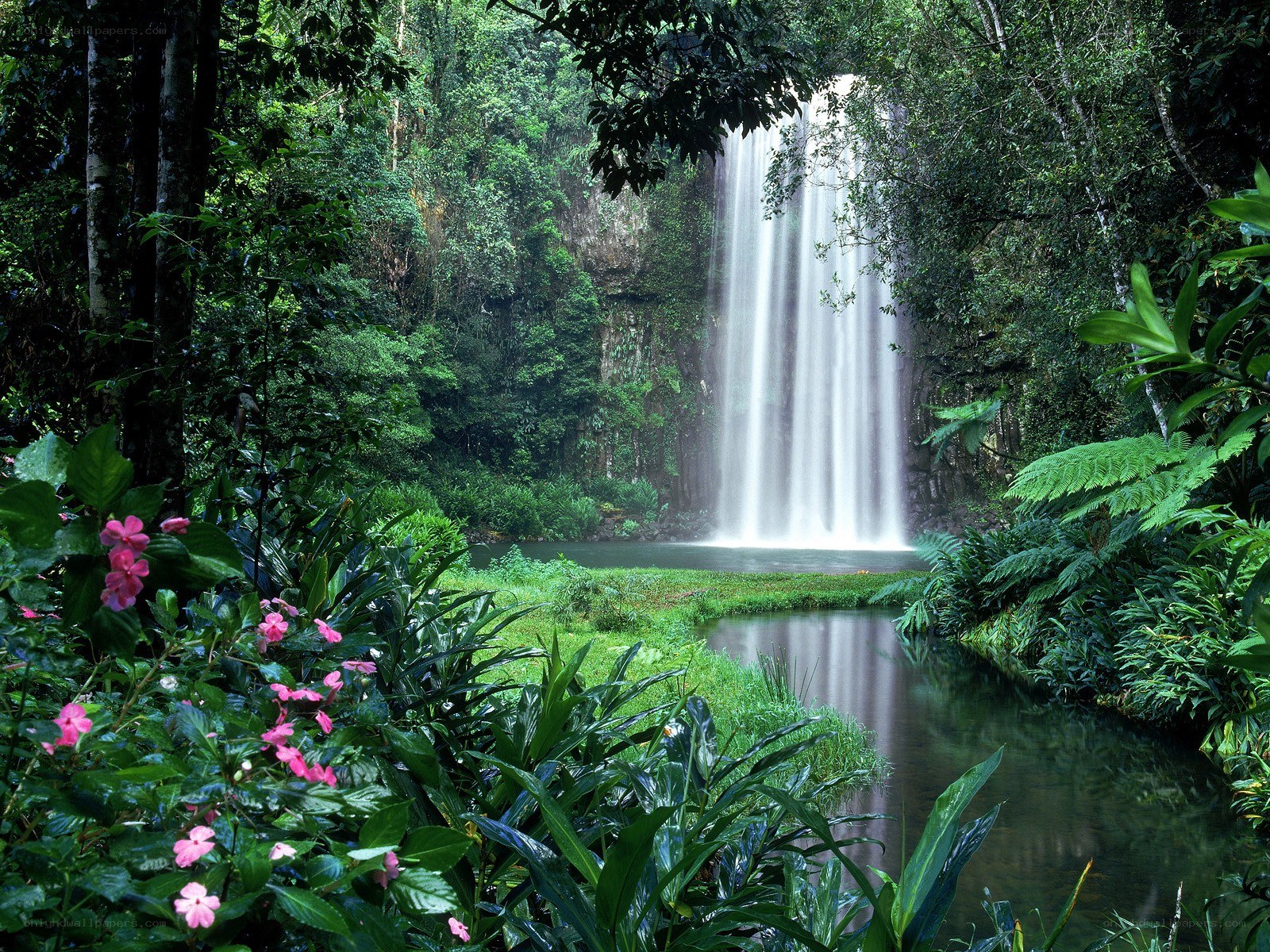 Waterfall in tropical rainforest