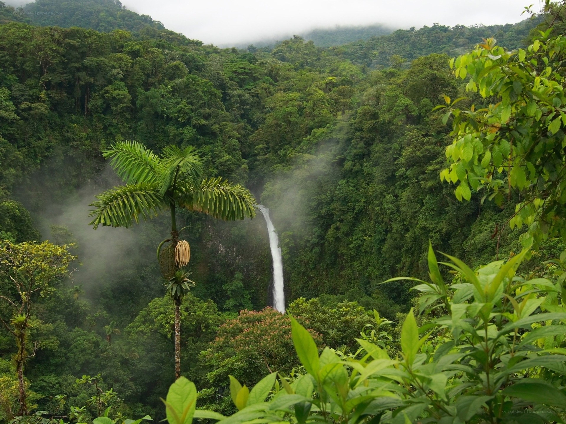 Waterfall in tropical rainforest