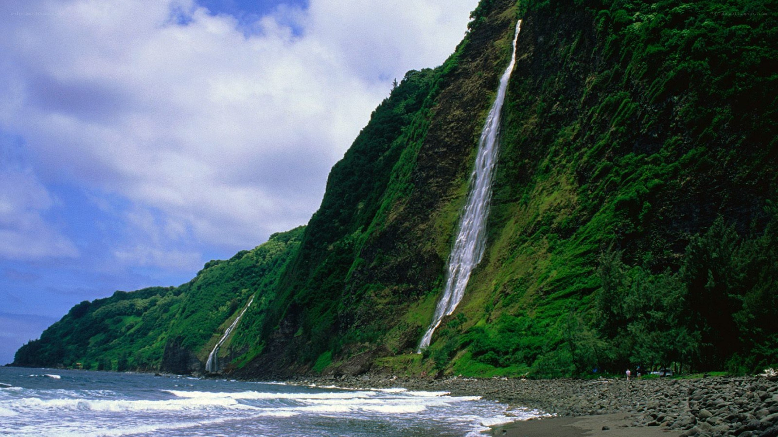 Waterfall on a green cliff