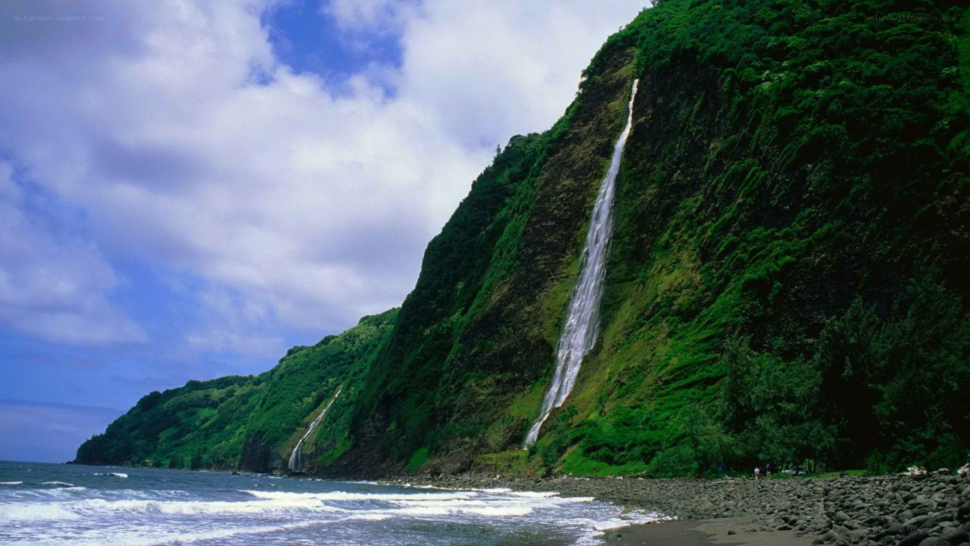 Waterfall on a lush cliffside