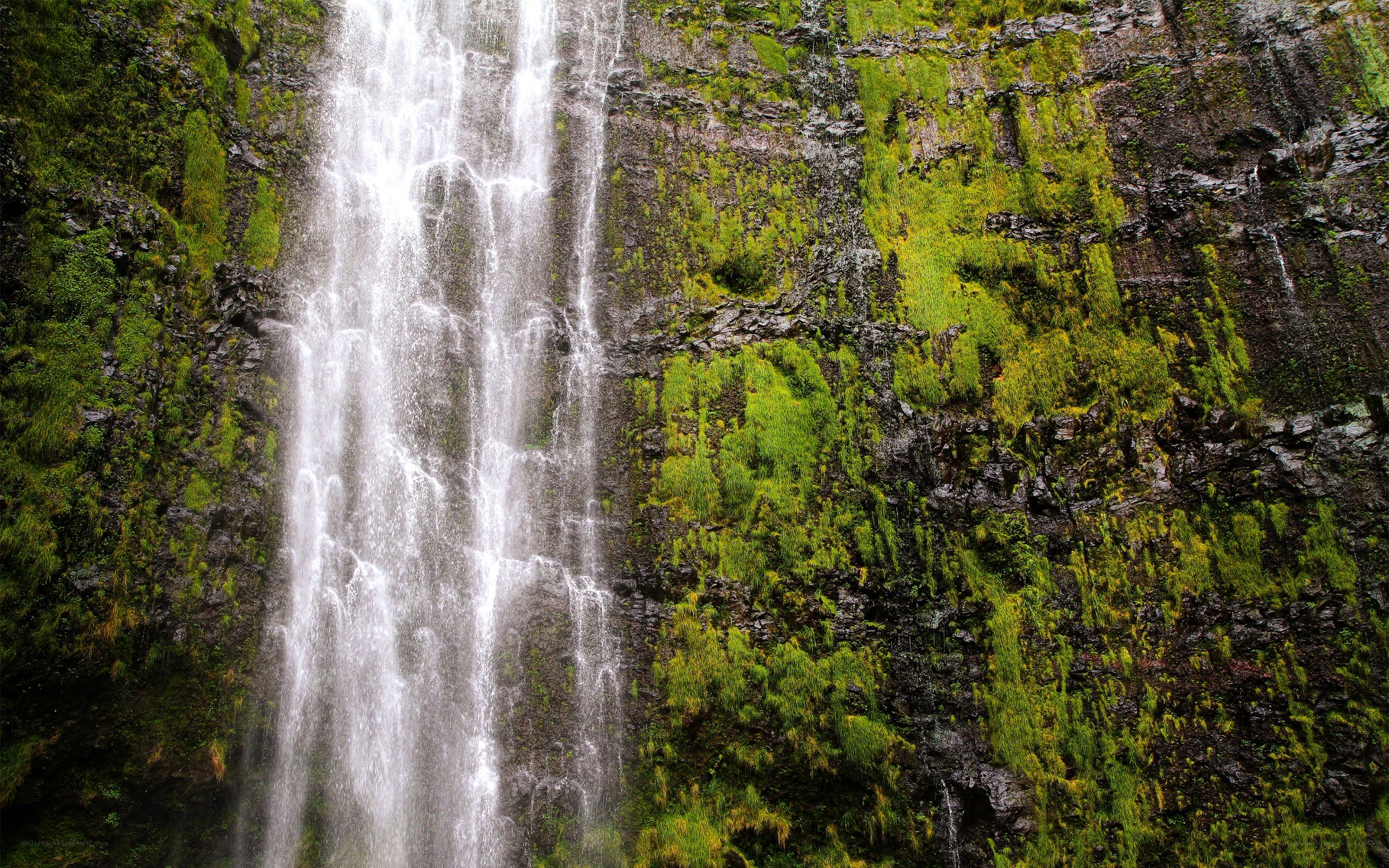 Waterfall on a mossy cliff