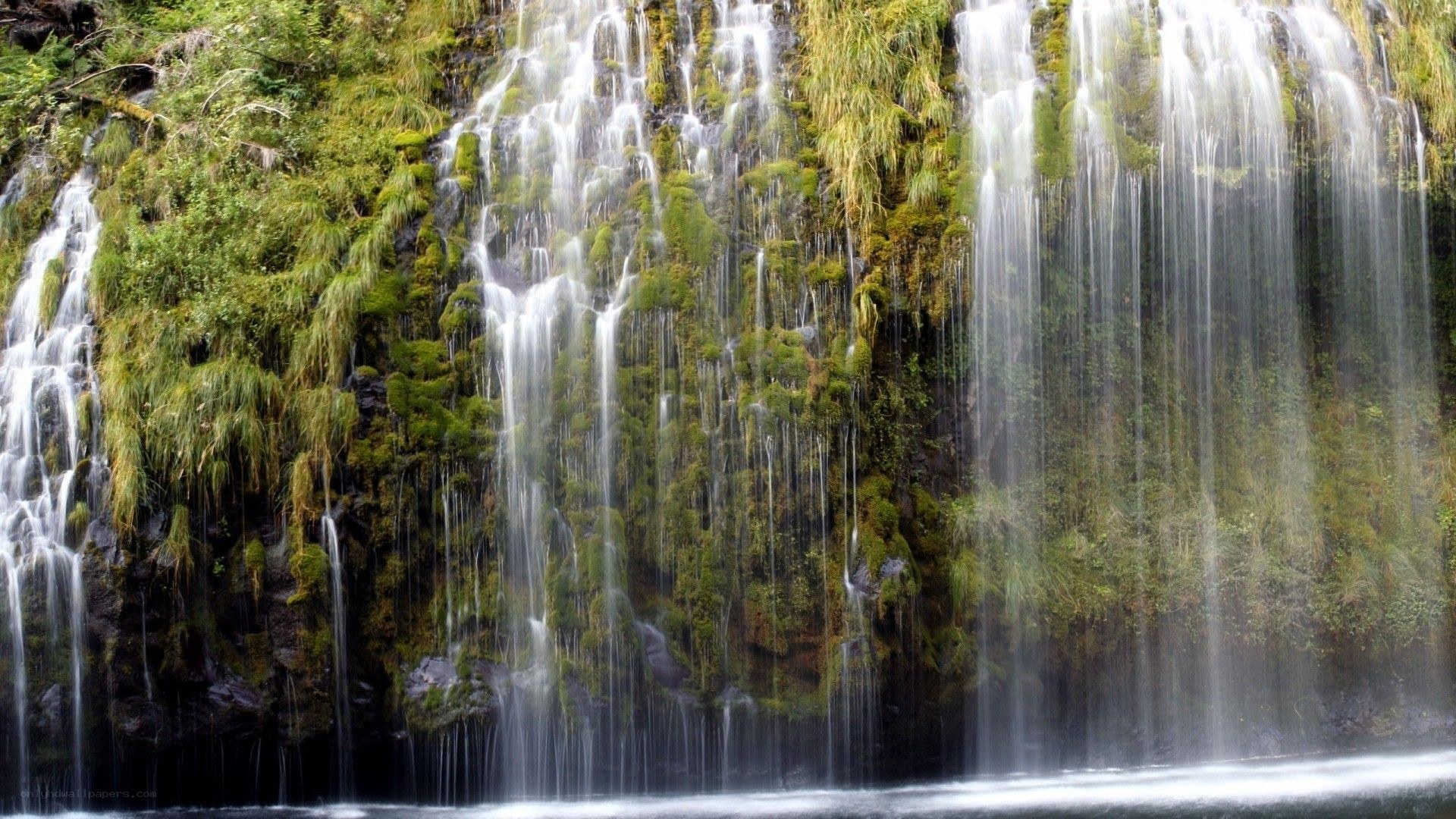 Waterfall on a mossy cliff