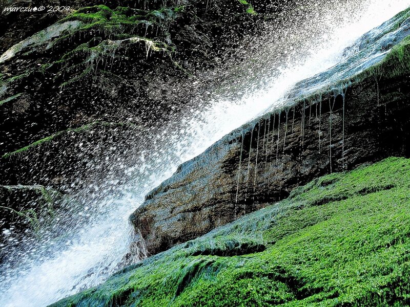 Waterfall on a mossy cliff