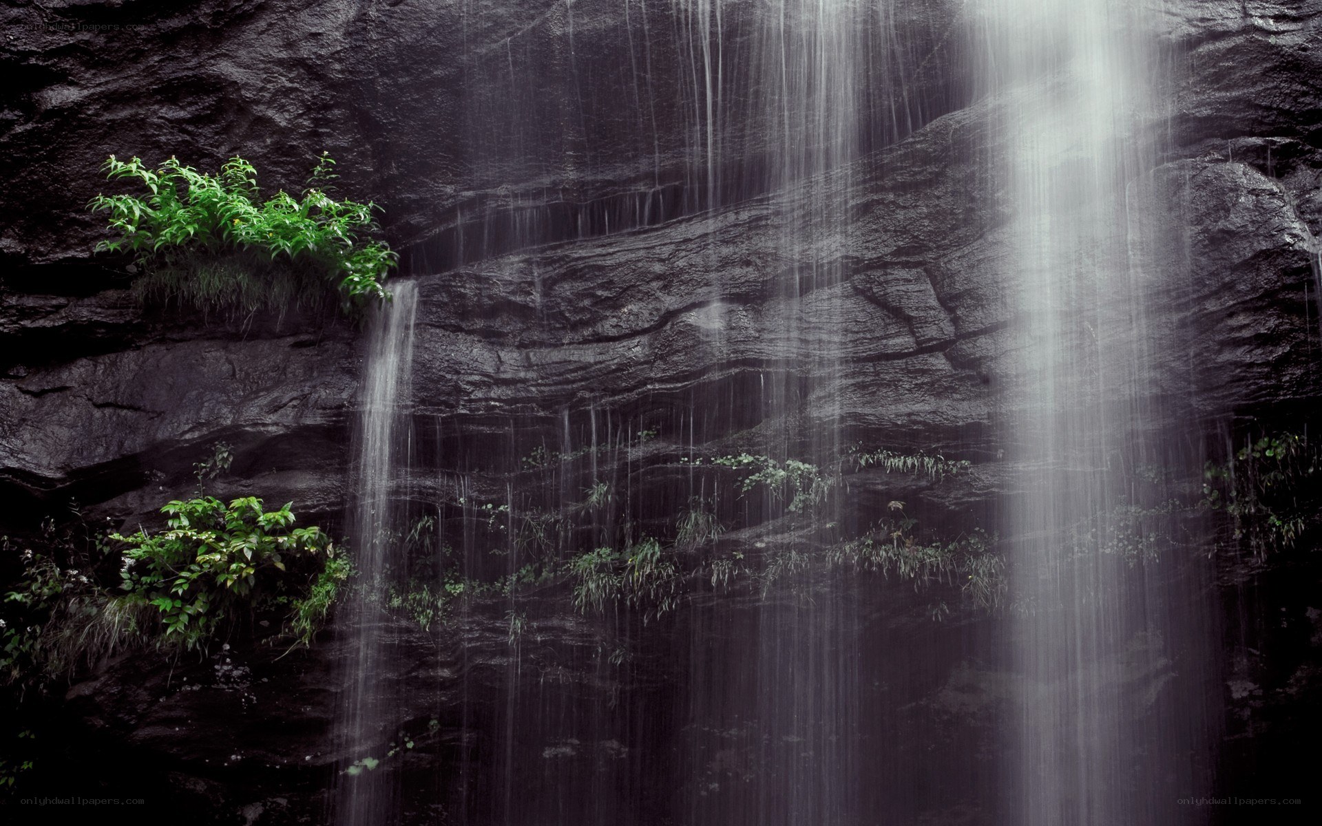 Waterfall on a rocky cliff