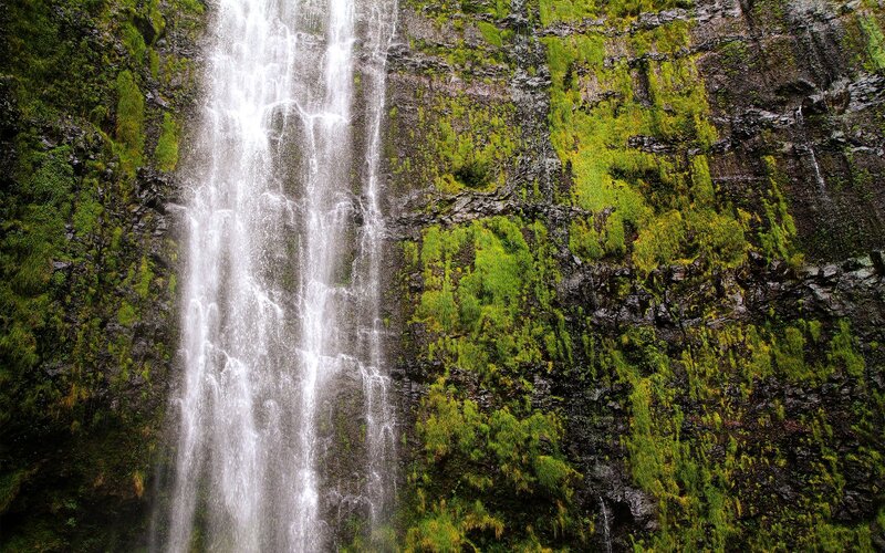 Waterfall on Mossy Cliff — Green, Natural, Photograph